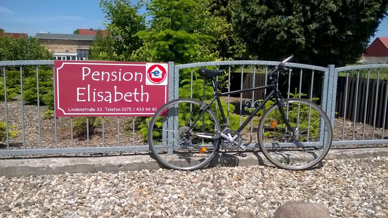 Prodel Pension Elisabeth Am Elberadweg מראה חיצוני תמונה