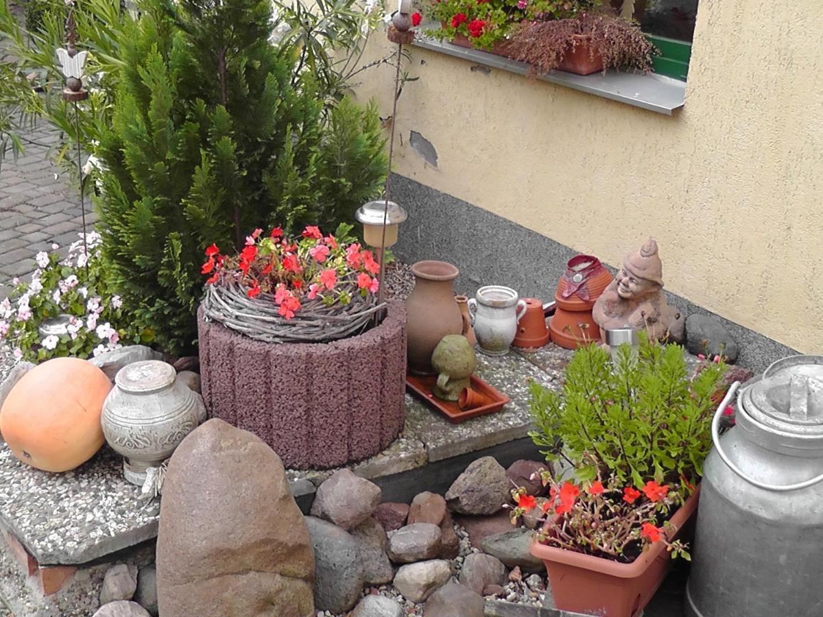 Prodel Pension Elisabeth Am Elberadweg מראה חיצוני תמונה